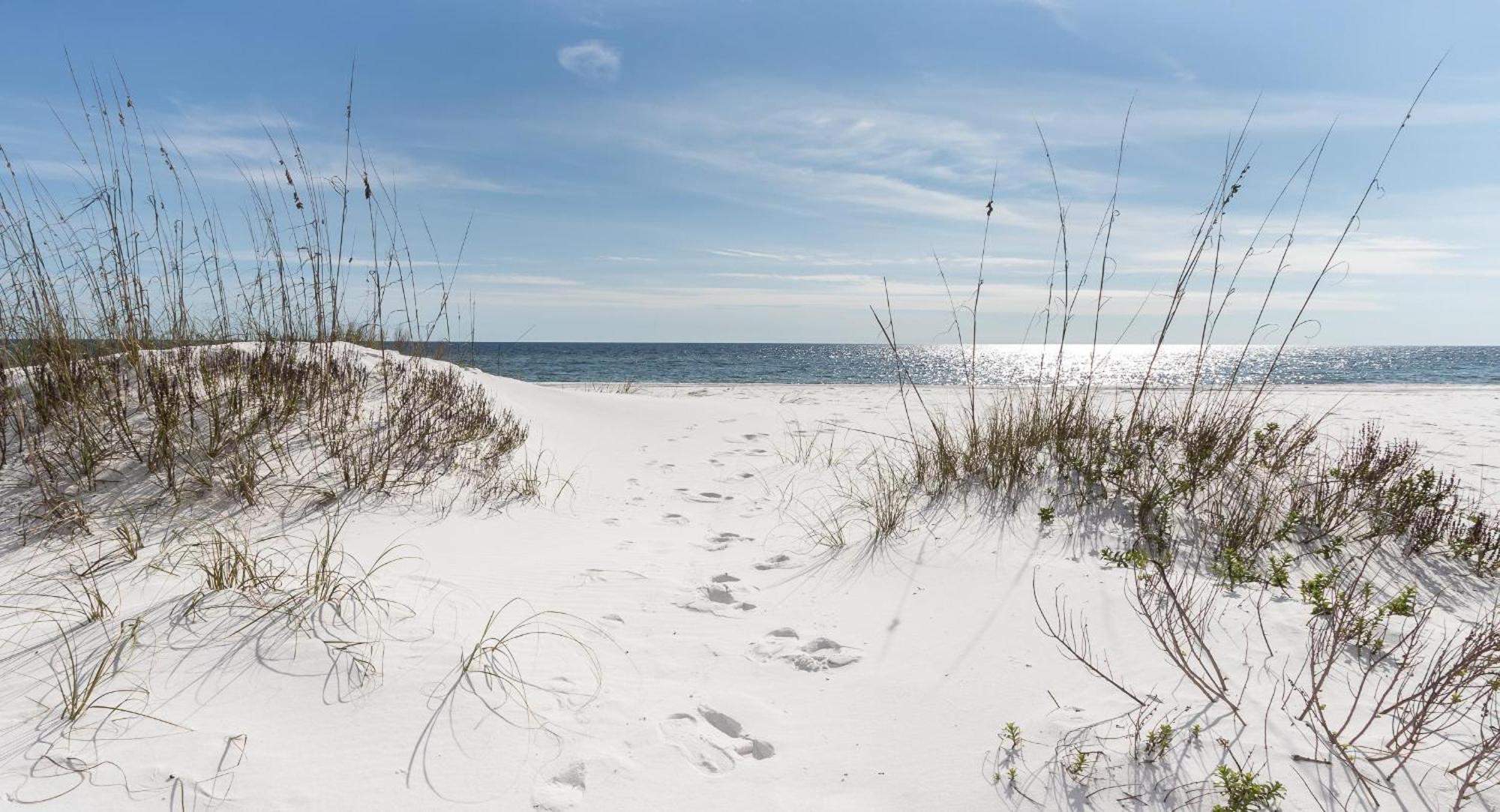 Nautilus 1201 - Gulf Front 2 Bedroom Huge Wrap Around Balcony 2Nd Floor! Fort Walton Beach Eksteriør bilde