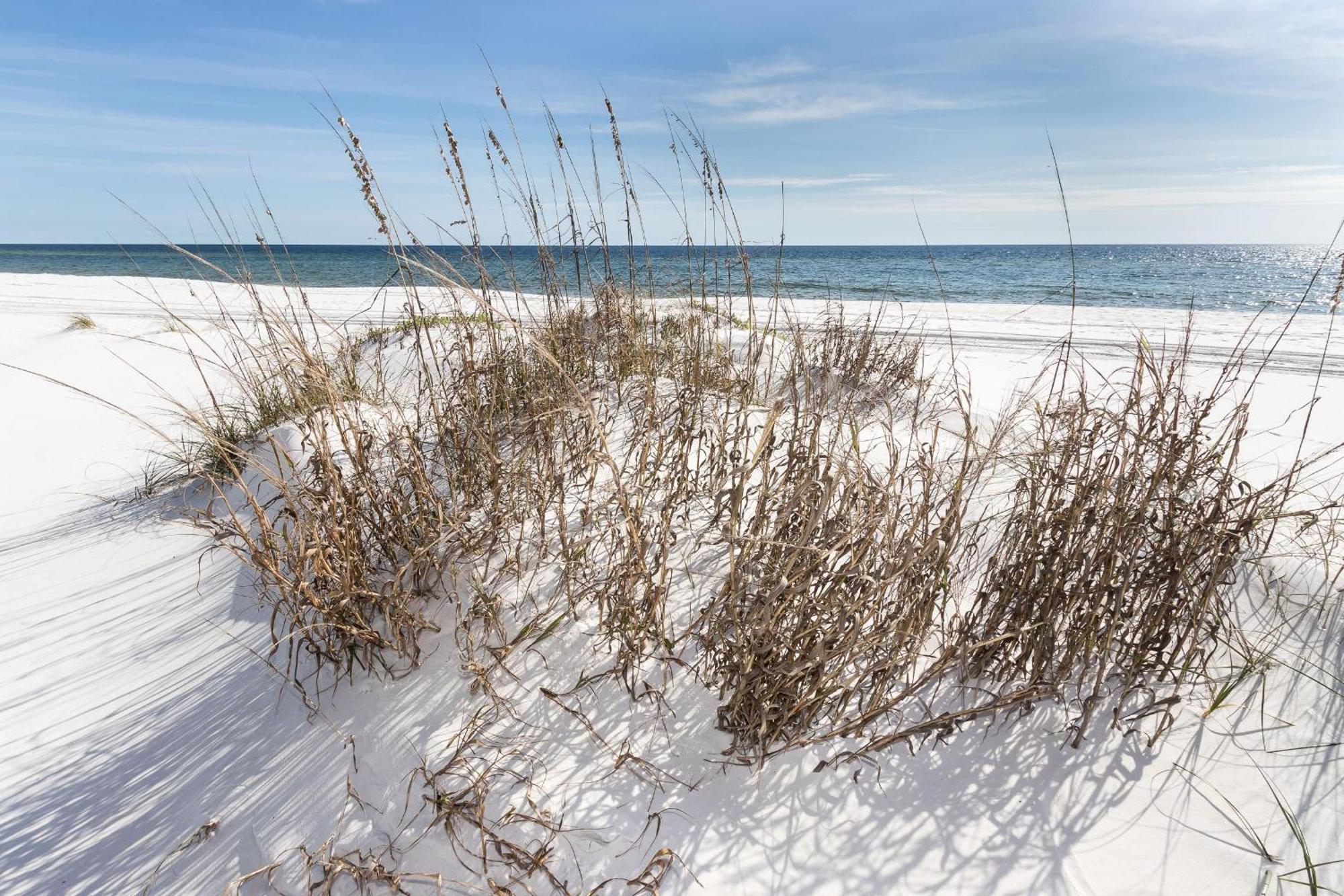 Nautilus 1201 - Gulf Front 2 Bedroom Huge Wrap Around Balcony 2Nd Floor! Fort Walton Beach Eksteriør bilde